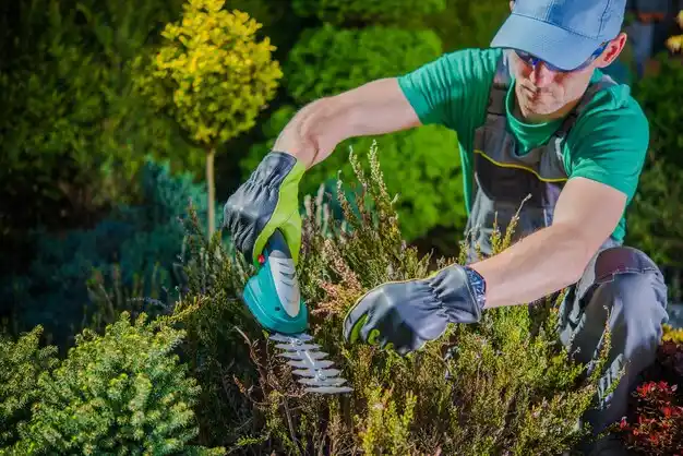 landscaping services Weedsport